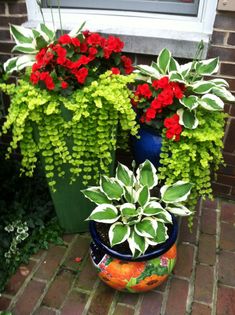 two planters with red and green plants in them on the ground next to a window