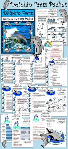 dolphins are swimming in the ocean together, and there is an info sheet for them