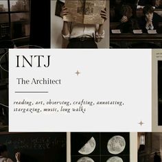 Intj Lifestyle, Intj Stereotypes, Intj Intp, Study Methods