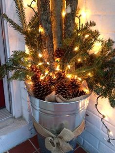 a christmas tree in a pail with lights on the top and some pine cones