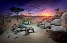 an image of some animals in the desert at sunset or dawn with trees and rocks