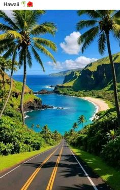 the road is lined with palm trees and blue water