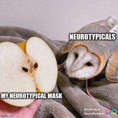 an owl is biting into an apple with the caption neubotypicals