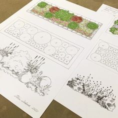 four different types of garden plans on top of each other