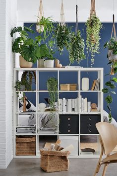 a room filled with lots of plants next to a white book shelf on top of a hard wood floor