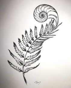 a black and white drawing of a leaf with a snail on it's back