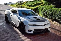 a white chevrolet camaro parked on the side of a road next to some bushes