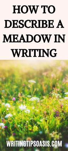 how to describe a meadow in writing Words To Describe Nature, Grant Writing, Soup Diet, Journal Writing Prompts