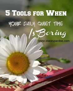 a white daisy sitting on top of a wooden bench with text overlay that reads 5 tools for when your daily quiet time is boring