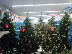 christmas trees are on display in a store