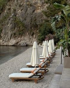 lounge chairs and umbrellas line up on the beach