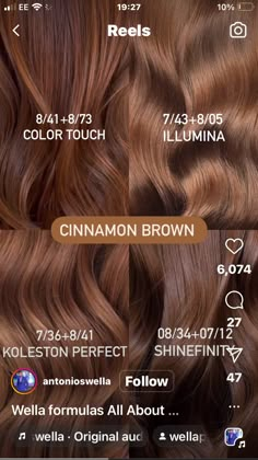 Igora Hair Color, Cinnamon Brown Hair, Wella Formulas, Brown Hair Color Chart, Cinnamon Hair Colors, Copper Brown Hair, Hair Formulas, Golden Brown Hair Color, Hair Formula