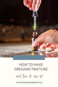 Spearmint Tincture Diy, Oregano Tincture Recipe, Oregano Tincture, Remedy For Cold, Oregano Recipes, Cold And Cough, Tinctures Recipes