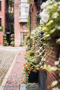 an alley way with brick buildings and flowers growing on the wall