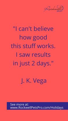 a quote from j k vegaa on how to be successful in business and life