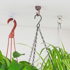 three metal flamingos hanging from hooks on a white wall next to green plants and grass