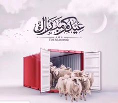 a group of sheep standing in front of a red container with the words eid mubarak written on it