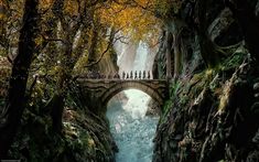 people standing on a bridge in the middle of a river surrounded by rocks and trees