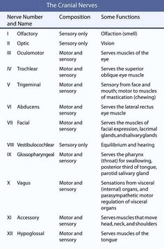 the cranin neves and their names are shown in this table with text