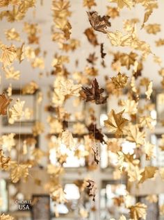 some gold leaves hanging from the ceiling