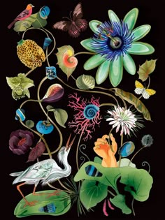 an image of flowers and birds on a black background