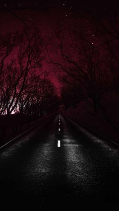 an empty road at night with trees and stars in the sky over it, lit up by streetlights