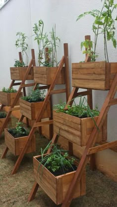 several wooden planters with plants growing in them