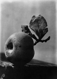 an apple sitting on top of a wooden table next to a leafy tree branch