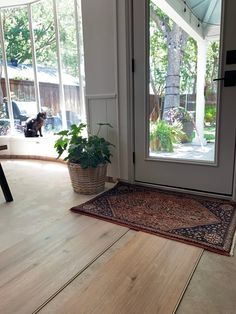 a door with a rug on the floor and a potted plant next to it