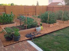 an outdoor garden with various plants and gardening hoses on the ground next to it