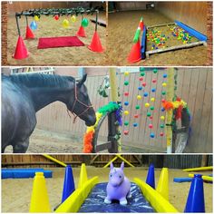 there are many different pictures of horses in an indoor area with plastic cones and obstacles