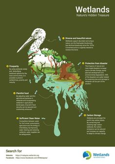 the wetlands map shows where to go and what to see in it's surroundings