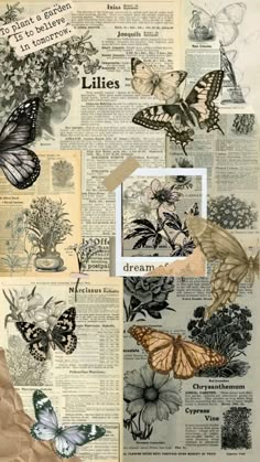 an old book with butterflies and flowers on it, in different stages of being altered