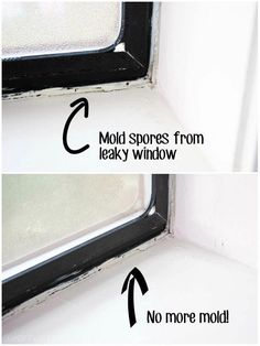 two different types of windows with the words mold spots from leaky window and no more mold