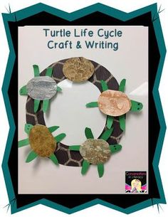 turtle life cycle craft and writing for kids