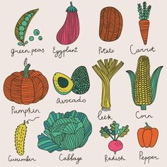 an illustrated poster with vegetables and their names