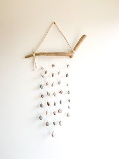 a white wall with shells hanging from it's sides and a branch on the other side