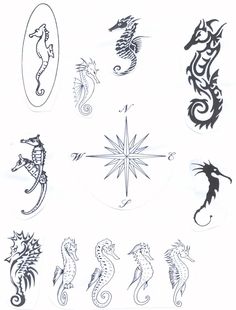 various seahorses are shown in black and white