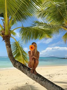 a woman sitting on top of a palm tree next to the ocean with an orange frisbee in her mouth