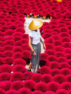 a woman with a straw hat standing in a field of red flowers