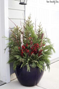 a potted plant with red berries and greenery in front of a garage door