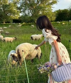 a girl in a field with sheep behind a wire fence and holding a lavender bag