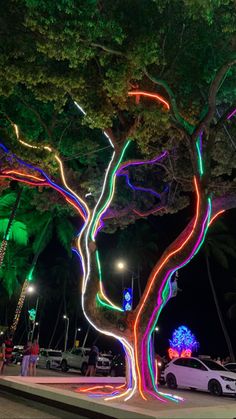 an illuminated tree in the middle of a park at night