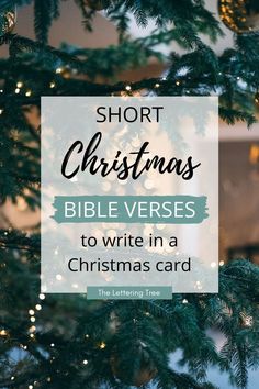 Christmas quotes Nativity Bible Verses, Best Christmas Bible Verses, Bible Verses Christmas Scriptures, Christian Christmas Verses, Christmas Card Sentiments Christian, Jesus In Christmas, Christian Christmas Message, What To Write In A Bible As A Gift, Holiday Bible Verses