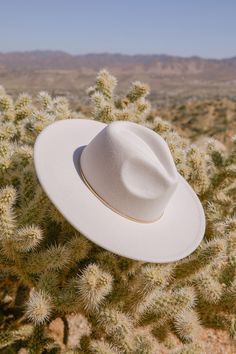 Room to Roam-ance Ivory Fedora Hat Womens Wide Brim Hats, White Fedora Hat, White Fedora, Cowboy Hat Styles, Fall Minis, Felt Shapes, 75 Hard, Boho Desert, Hat Styles