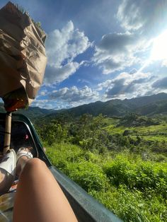 a person sitting in the back of a car on top of a lush green field