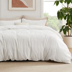 a large white bed sitting in a bedroom next to a potted plant and window