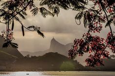 the sun shines through the leaves of trees near water and mountains in the background