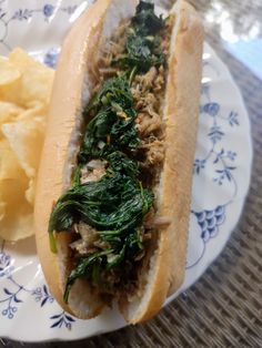 a close up of a hot dog on a plate with chips