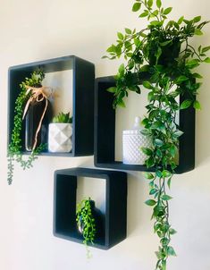 three black shelves with plants and vases in them on the wall next to each other